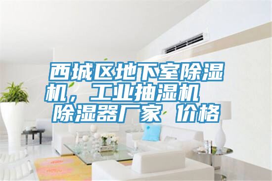 西城區(qū)地下室除濕機(jī)，工業(yè)抽濕機(jī)  除濕器廠家 價格