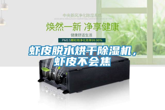 蝦皮脫水烘干除濕機(jī)，蝦皮不會(huì)焦