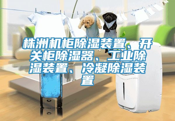 株洲機柜除濕裝置、開關(guān)柜除濕器、工業(yè)除濕裝置、冷凝除濕裝置