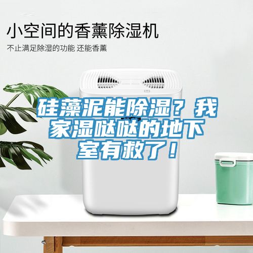 硅藻泥能除濕？我家濕噠噠的地下室有救了！