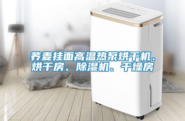 蕎麥掛面高溫熱泵烘干機、烘干房、除濕機、干燥房