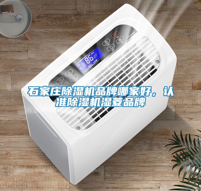 石家莊除濕機(jī)品牌哪家好，認(rèn)準(zhǔn)除濕機(jī)濕菱品牌