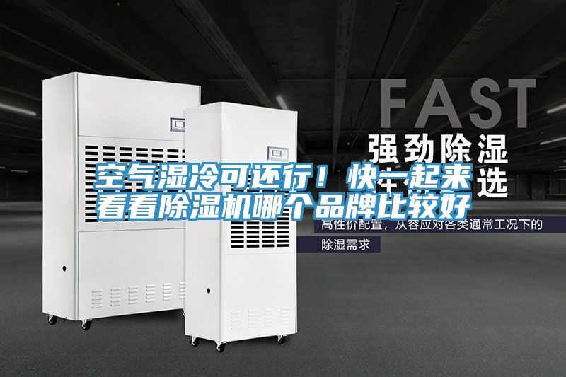 空氣濕冷可還行！快一起來看看除濕機哪個品牌比較好