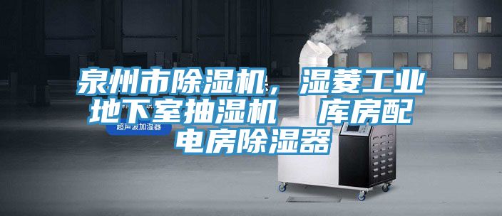 泉州市除濕機，濕菱工業(yè)地下室抽濕機  庫房配電房除濕器
