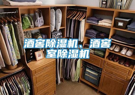 酒窖除濕機(jī)、酒窖室除濕機(jī)