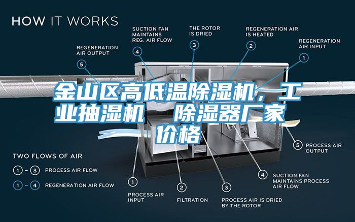 金山區(qū)高低溫除濕機，工業(yè)抽濕機  除濕器廠家 價格