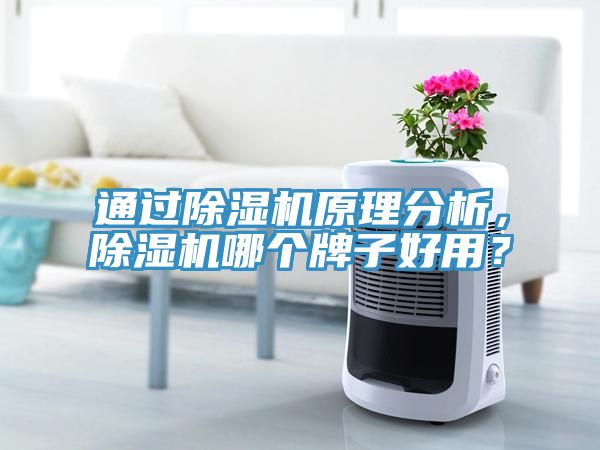 通過除濕機原理分析，除濕機哪個牌子好用？
