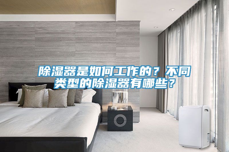 除濕器是如何工作的？不同類型的除濕器有哪些？