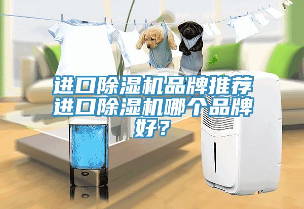 進(jìn)口除濕機(jī)品牌推薦進(jìn)口除濕機(jī)哪個(gè)品牌好？