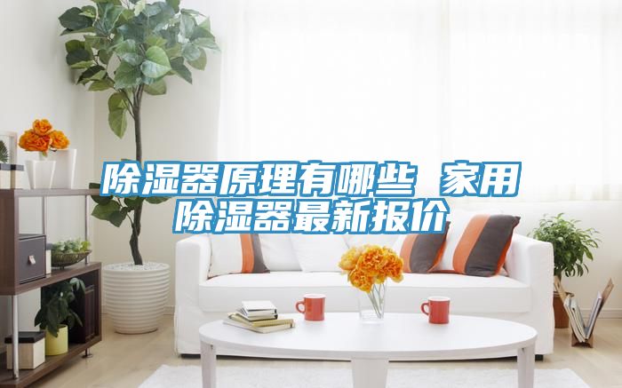 除濕器原理有哪些 家用除濕器最新報(bào)價