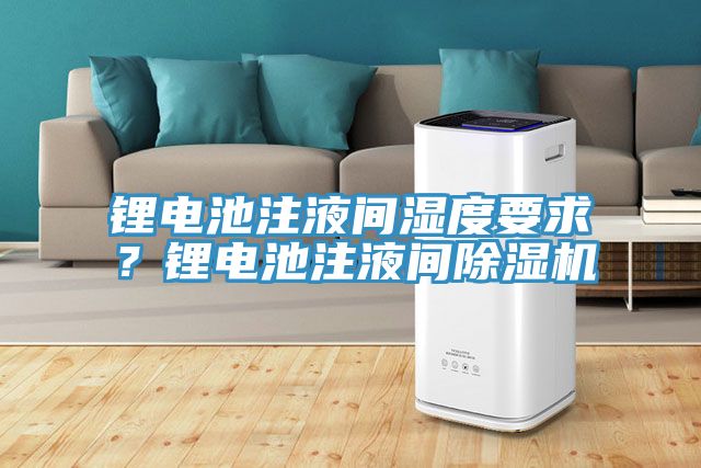 鋰電池注液間濕度要求？鋰電池注液間除濕機(jī)