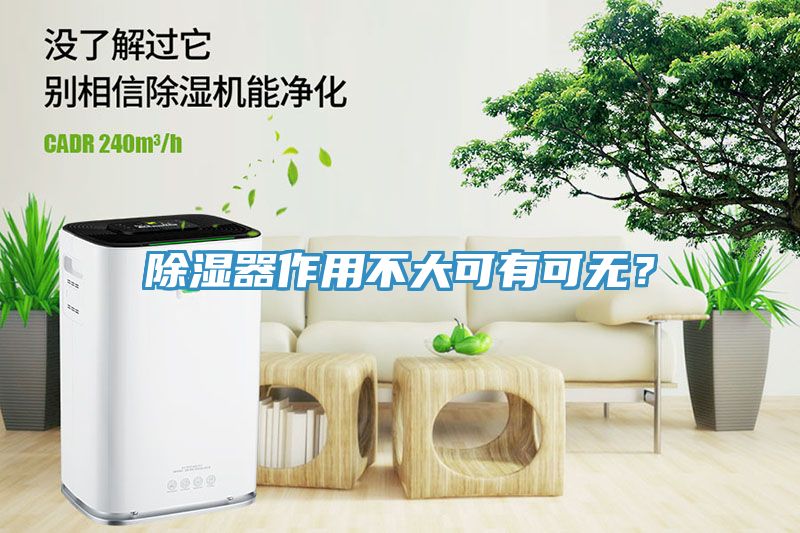 除濕器作用不大可有可無？