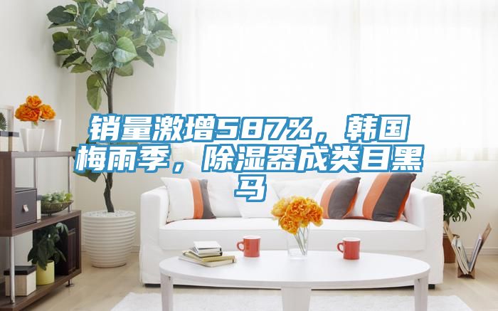 銷量激增587%，韓國梅雨季，除濕器成類目黑馬