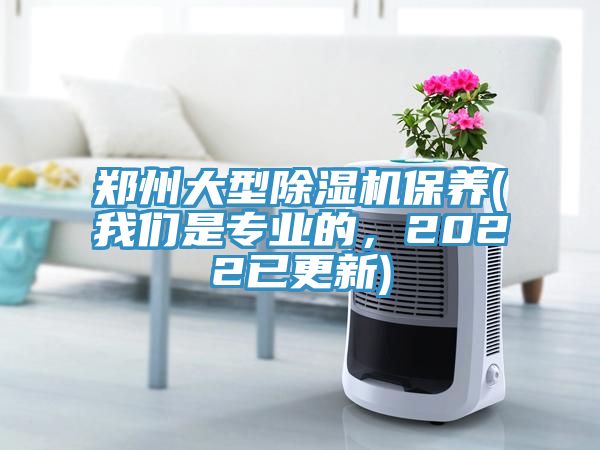鄭州大型除濕機(jī)保養(yǎng)(我們是專(zhuān)業(yè)的，2022已更新)