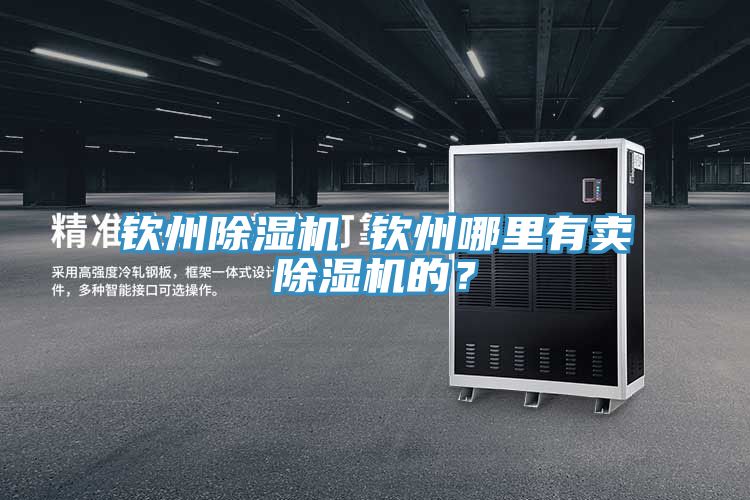 欽州除濕機(jī) 欽州哪里有賣除濕機(jī)的？