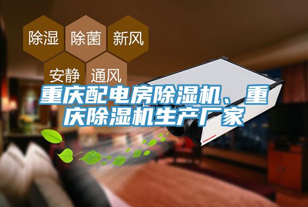 重慶配電房除濕機(jī)、重慶除濕機(jī)生產(chǎn)廠家