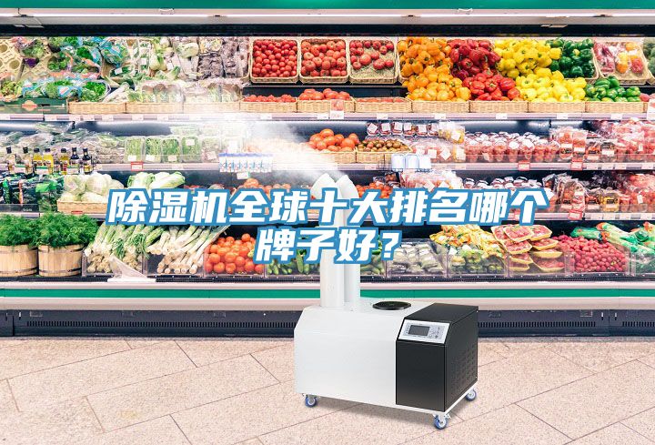 除濕機(jī)全球十大排名哪個(gè)牌子好？