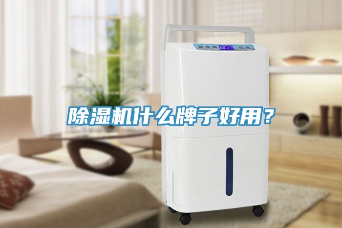 除濕機什么牌子好用？