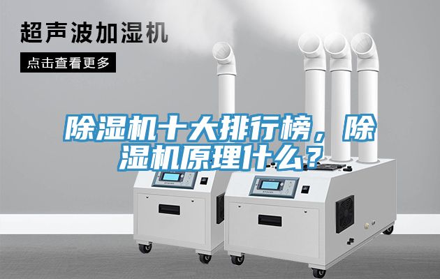 除濕機(jī)十大排行榜，除濕機(jī)原理什么？