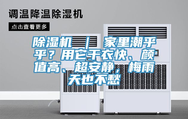 除濕機(jī) ｜ 家里潮乎乎？用它干衣快、顏值高、超安靜，梅雨天也不愁