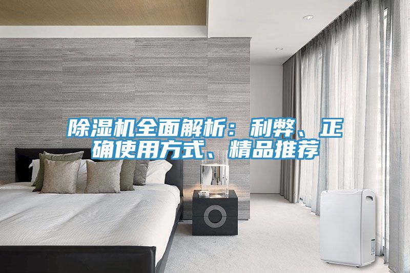 除濕機(jī)全面解析：利弊、正確使用方式、精品推薦