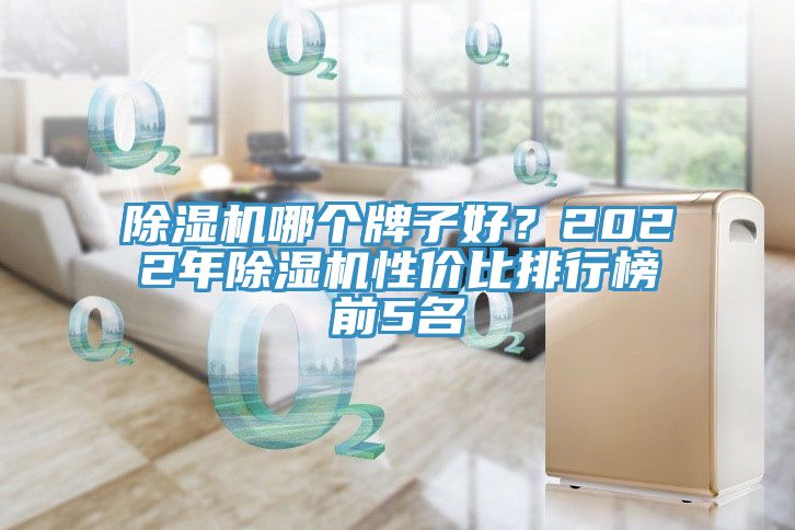 除濕機(jī)哪個牌子好？2022年除濕機(jī)性價比排行榜前5名