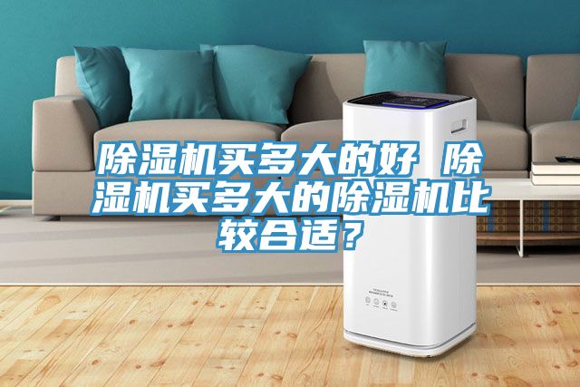 除濕機買多大的好 除濕機買多大的除濕機比較合適？