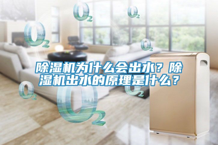 除濕機為什么會出水？除濕機出水的原理是什么？