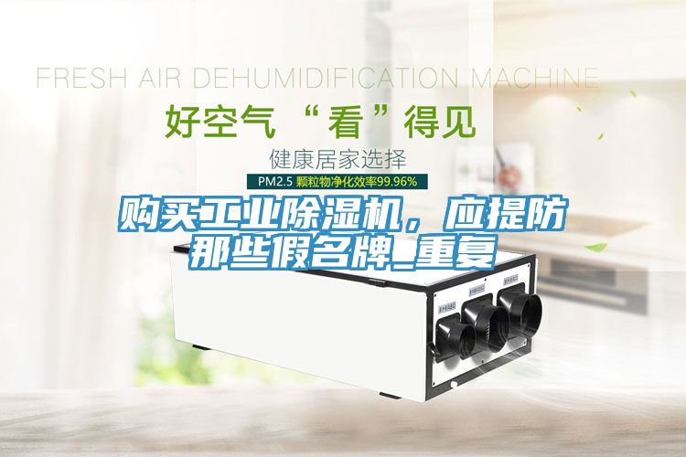 購(gòu)買(mǎi)工業(yè)除濕機(jī)，應(yīng)提防那些假名牌_重復(fù)