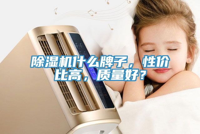 除濕機什么牌子，性價比高，質(zhì)量好？