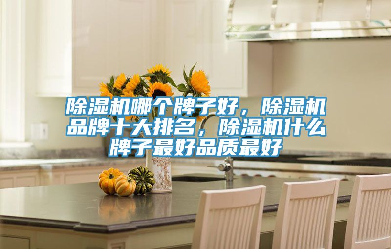 除濕機(jī)哪個(gè)牌子好，除濕機(jī)品牌十大排名，除濕機(jī)什么牌子最好品質(zhì)最好