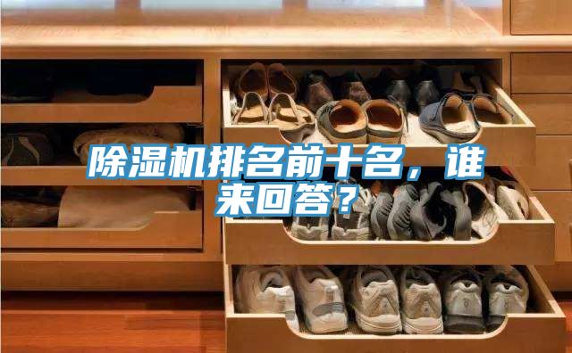 除濕機(jī)排名前十名，誰(shuí)來(lái)回答？