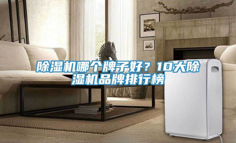 除濕機(jī)哪個(gè)牌子好？10大除濕機(jī)品牌排行榜