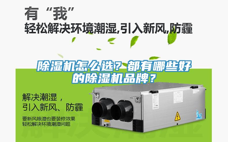 除濕機(jī)怎么選？都有哪些好的除濕機(jī)品牌？