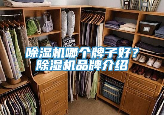 除濕機(jī)哪個(gè)牌子好？除濕機(jī)品牌介紹