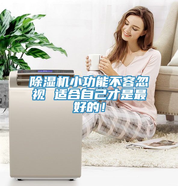 除濕機小功能不容忽視 適合自己才是最好的！