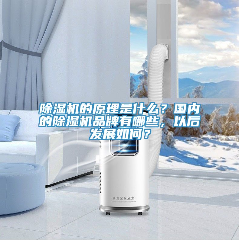 除濕機的原理是什么？國內(nèi)的除濕機品牌有哪些，以后發(fā)展如何？