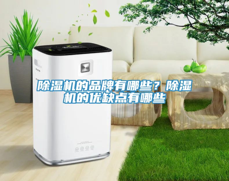 除濕機的品牌有哪些？除濕機的優(yōu)缺點有哪些