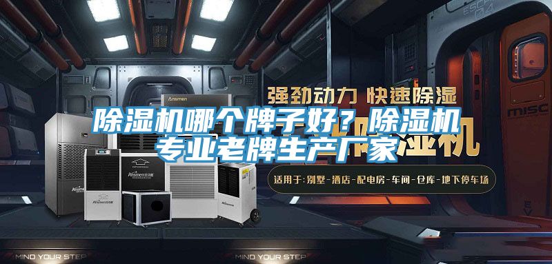 除濕機(jī)哪個(gè)牌子好？除濕機(jī)專業(yè)老牌生產(chǎn)廠家