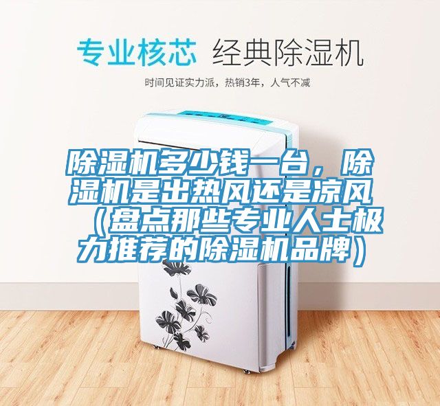 除濕機多少錢一臺，除濕機是出熱風還是涼風（盤點那些專業(yè)人士極力推薦的除濕機品牌）