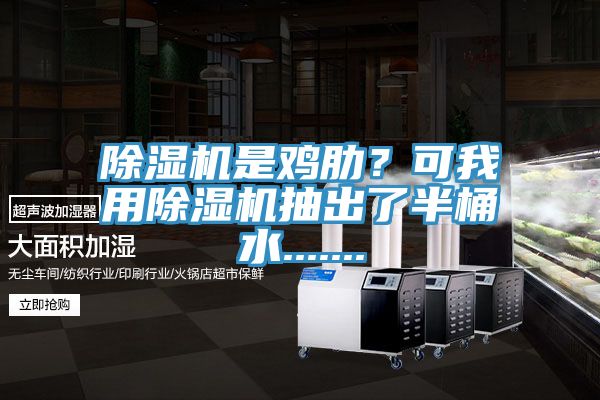 除濕機是雞肋？可我用除濕機抽出了半桶水.......