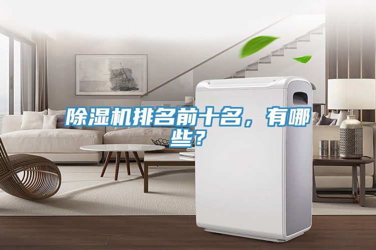 除濕機(jī)排名前十名，有哪些？