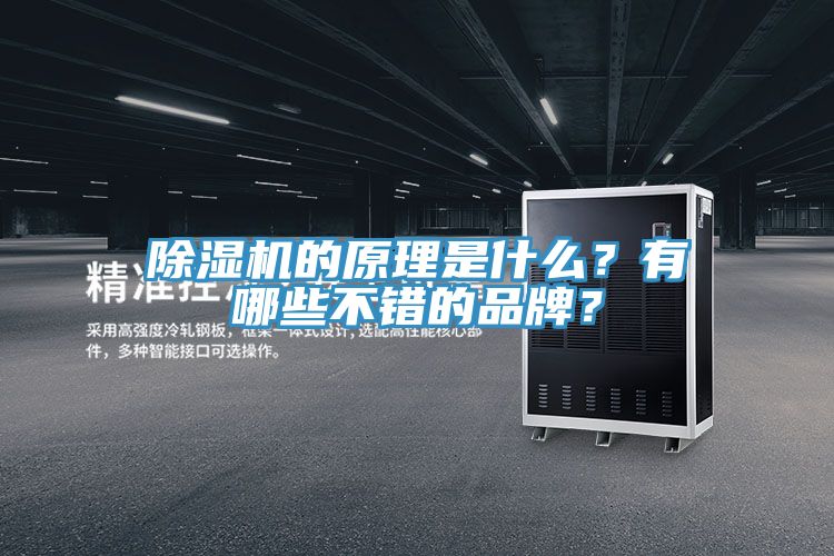 除濕機的原理是什么？有哪些不錯的品牌？