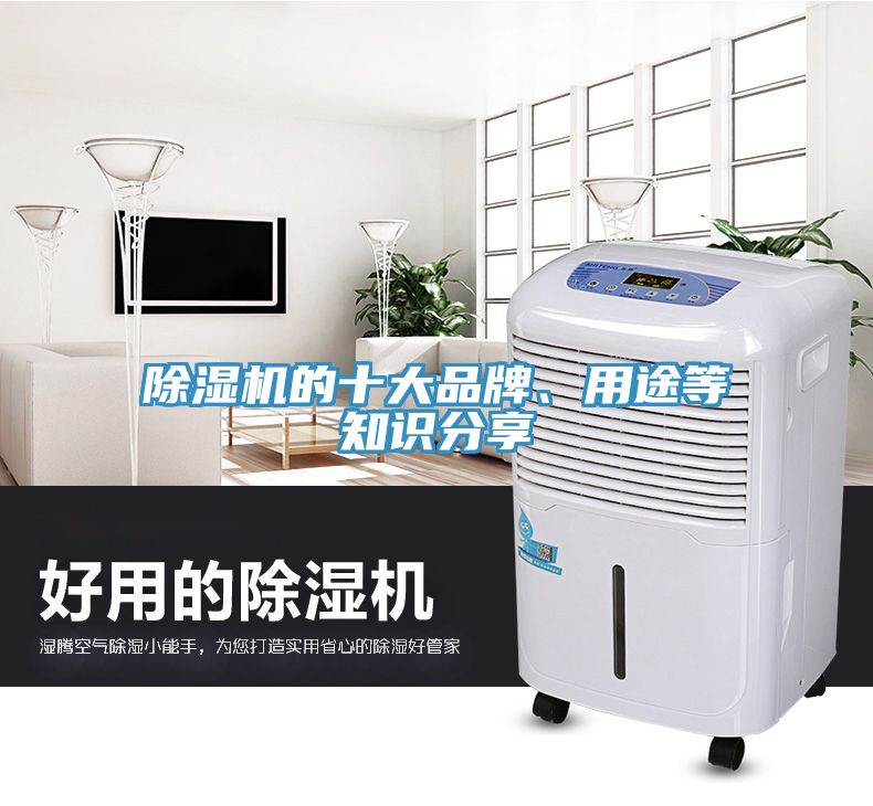 除濕機(jī)的十大品牌、用途等知識(shí)分享