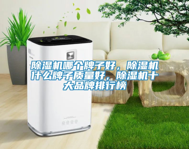 除濕機(jī)哪個(gè)牌子好，除濕機(jī)什么牌子質(zhì)量好，除濕機(jī)十大品牌排行榜