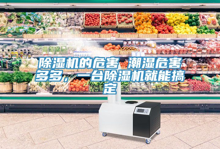 除濕機(jī)的危害 潮濕危害多多，一臺(tái)除濕機(jī)就能搞定