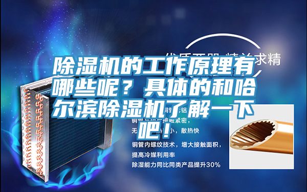 除濕機(jī)的工作原理有哪些呢？具體的和哈爾濱除濕機(jī)了解一下吧！