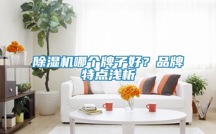 除濕機(jī)哪個(gè)牌子好？品牌特點(diǎn)淺析