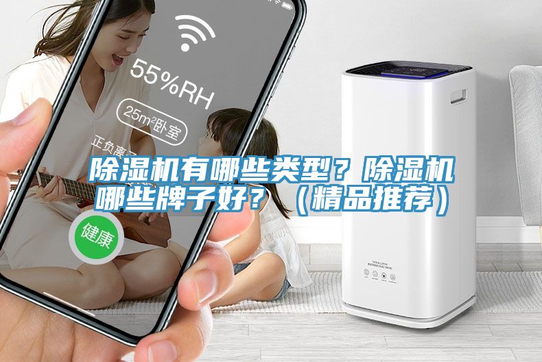 除濕機(jī)有哪些類型？除濕機(jī)哪些牌子好？（精品推薦）