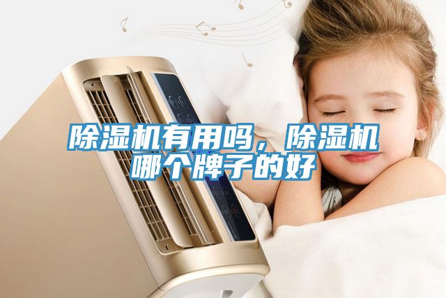 除濕機(jī)有用嗎，除濕機(jī)哪個(gè)牌子的好